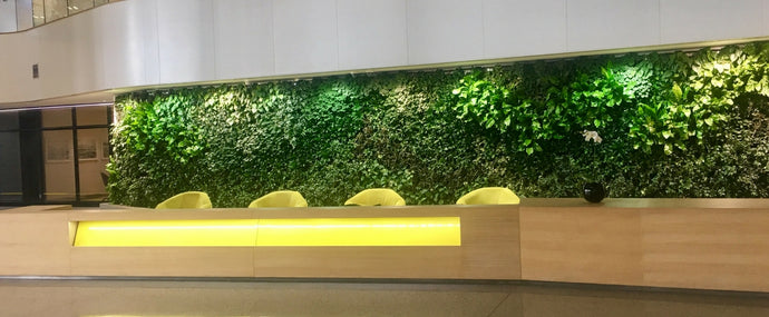 5 advantages of a vertical garden in a small office