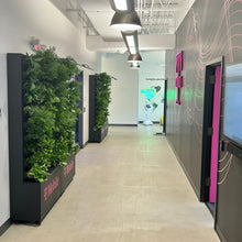 Mobile Plant Wall Divider UNO