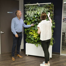 Mobile Plant Wall Divider DUO