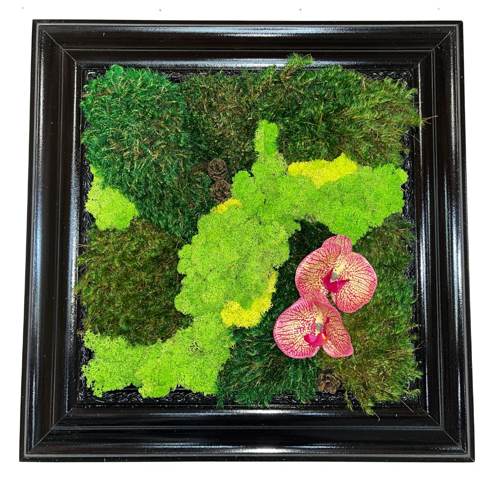 18 x 18 Moss Art with Black Frame and faux flower