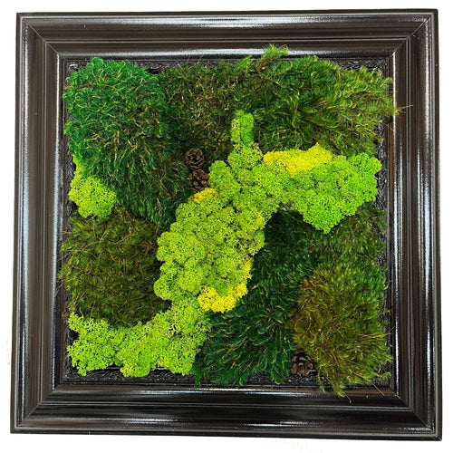 18 x 18 Moss Art with Black Frame