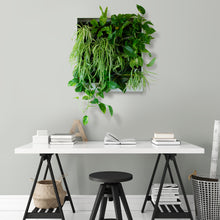 Vertical Plant Wall (25")
