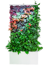Large, white free-standing greenwall divider unit. 